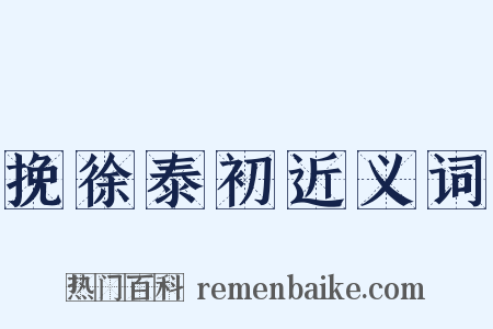 挽徐泰初近义词是什么意思的图片